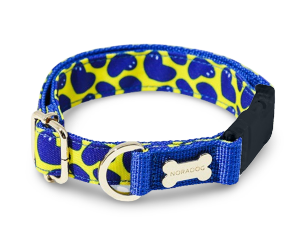 NORADOG Collare Pier39