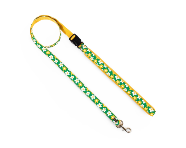 NORADOG Belt Leash  Pic Nic